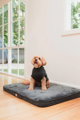 FuzzYard Life Lounge Mat - Slate Grey